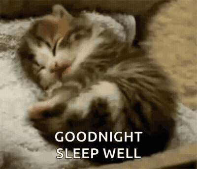 A Kitten Is Sleeping On A Pillow With The Words `` Goodnight Sleep Well '' Written On The Bottom . GIF