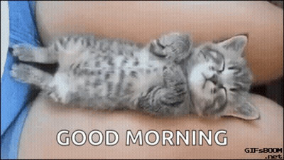 A Kitten Is Sleeping On Its Back On A Person 'S Lap With The Words `` Good Morning '' Below It . GIF