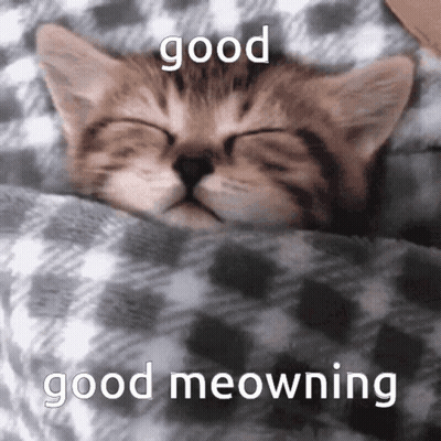 A Kitten Is Sleeping Under A Blanket With The Words Good Meowning Written Above It GIF