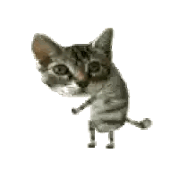A Kitten Is Standing On Its Hind Legs And Looking At The Camera . Sticker