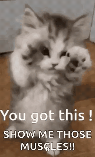 A Kitten Is Standing On Its Hind Legs On A Wooden Floor And Giving A Thumbs Up . GIF