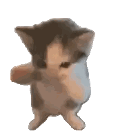A Kitten Is Standing On Its Hind Legs With Its Paws Up . Sticker