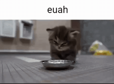 A Kitten Is Walking Towards A Bowl Of Food . GIF
