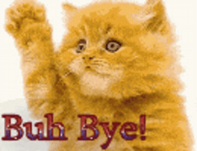 A Kitten Is Waving Its Paw With The Words Buh Bye Written Above It . GIF