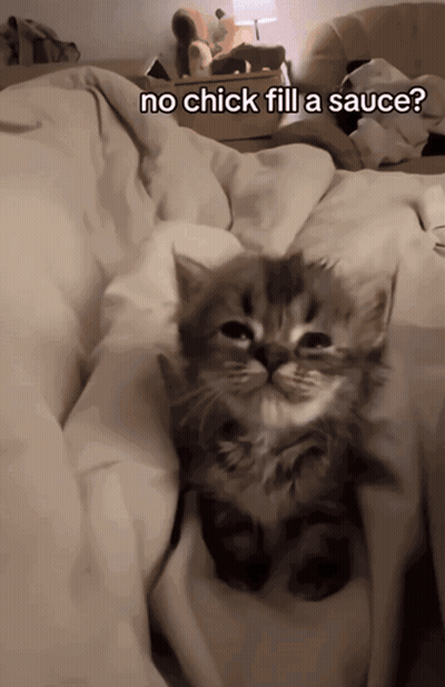 A Kitten Is Wrapped In A Blanket With The Caption No Chick Fill A Sauce GIF