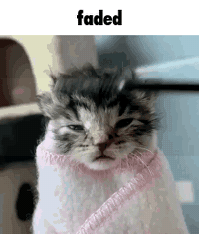 A Kitten Is Wrapped In A Pink Blanket And Has A Sad Look On His Face . GIF