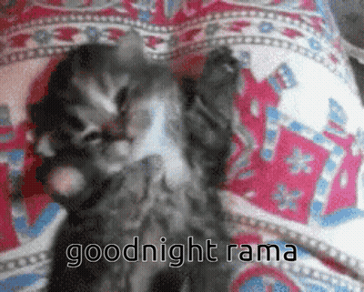 A Kitten Laying On A Bed With The Words Goodnight Rama Written On The Bottom GIF
