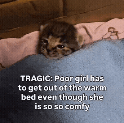 A Kitten Laying Under A Blanket With A Caption That Says Tragic GIF