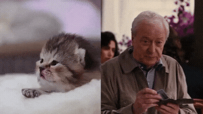 A Kitten Next To An Older Man Looking At A Wallet GIF