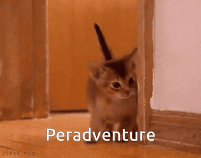 A Kitten Peeking Out From Behind A Door With The Word Peradventure Written On The Bottom GIF