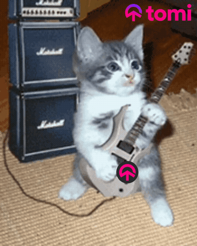 A Kitten Playing A Guitar In Front Of A Marshall Stack GIF