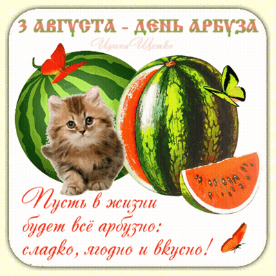 A Kitten Sits Between Two Watermelons On A Card GIF