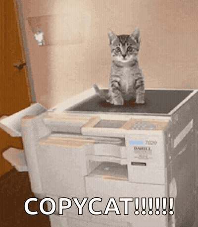 A Kitten Sits On Top Of A Copycat GIF