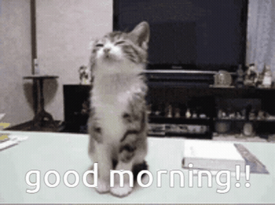 A Kitten Sitting On A Table With The Words " Good Morning " Written On It GIF