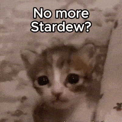 A Kitten Wearing A Hat With The Words `` No More Stardew '' On It . GIF