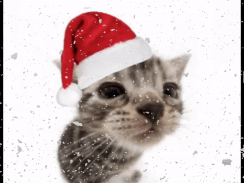 A Kitten Wearing A Santa Hat Is Surrounded By Snow GIF