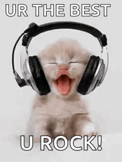 A Kitten Wearing Headphones With Its Mouth Open Is Screaming . GIF