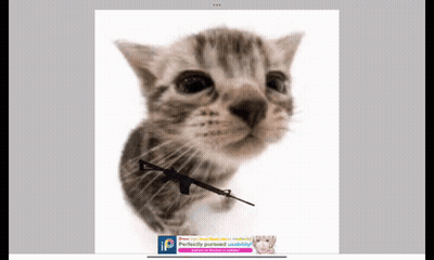 A Kitten With A Gun In Its Mouth Is On A White Background With An Advertisement For Photoshop GIF