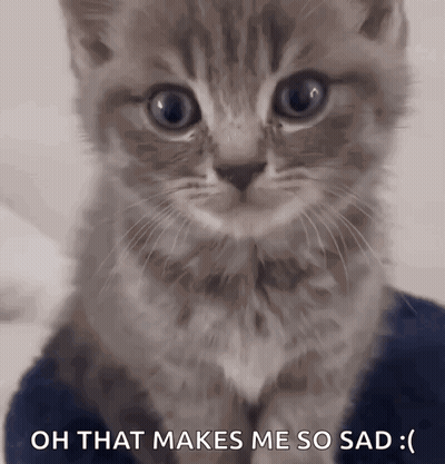 A Kitten With A Sad Look On Its Face And The Words Oh That Makes Me So Sad GIF
