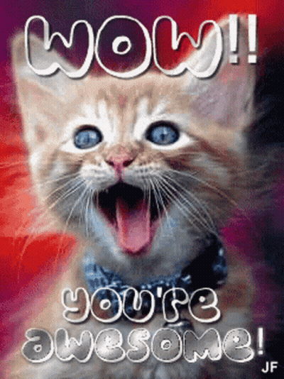 A Kitten With Its Mouth Open And The Words Wow You 'Re Awesome Written Above It GIF