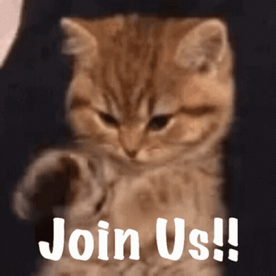 A Kitten With The Words Join Us On Its Face GIF