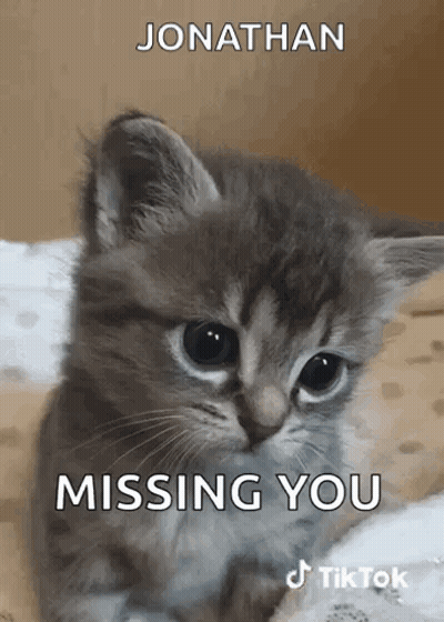 A Kitten With The Words Jonathan Missing You On It 'S Face GIF