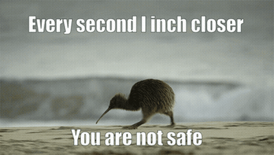 A Kiwi Bird Is Walking On A Beach With The Words Every Second I Inch Closer You Are Not Safe GIF