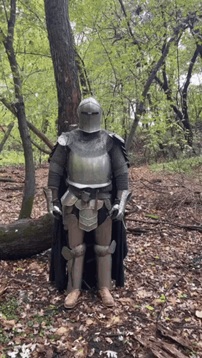 A Knight In Armor Is Standing In The Middle Of A Forest GIF