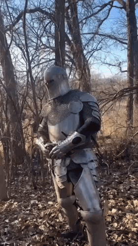 A Knight In Armor Is Standing In The Woods GIF