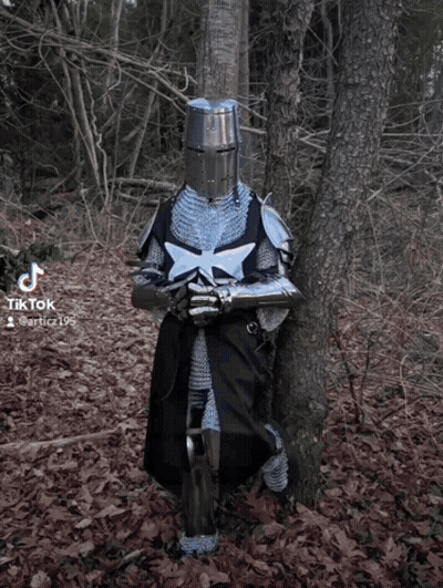 A Knight Leaning Against A Tree In The Woods With Tiktok Written On The Bottom Right GIF