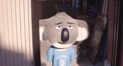 A Koala Bear Wearing A California Shirt Looks Sad GIF
