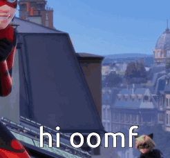 A Ladybug And Cat Noir Are Standing On A Roof With The Words Hioomf Written In White Letters . GIF