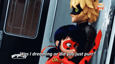 A Ladybug And Cat Noir From Miraculous Are Hugging On A Train GIF
