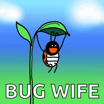A Ladybug Is Hanging From A Green Leaf With The Words Bug Wife Written Below It GIF