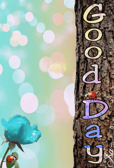 A Ladybug Is Sitting On A Tree Trunk With The Words Good Day Written On It GIF