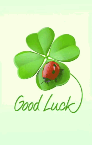 A Ladybug Sits On A Four Leaf Clover With The Words " Good Luck " Written Below It GIF