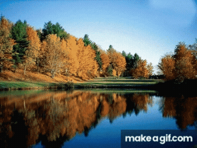 A Lake Surrounded By Trees And A Make A Gif.com Watermark GIF