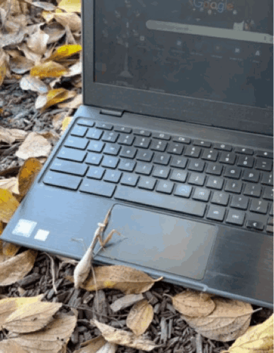 A Laptop Is Open To A Google Page GIF