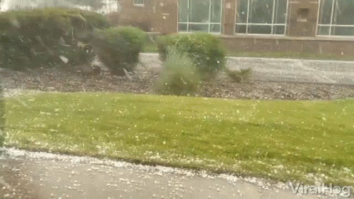 A Large Amount Of Hail Is Falling On A Lush Green Lawn GIF
