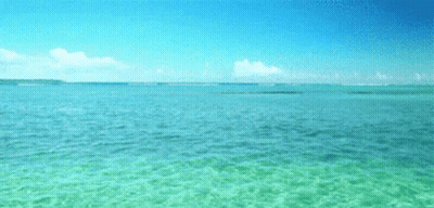 A Large Body Of Water With A Blue Sky And White Clouds In The Background GIF