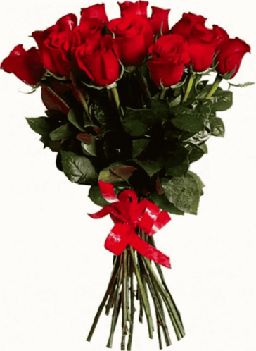 A Large Bouquet Of Red Roses With A Red Ribbon GIF