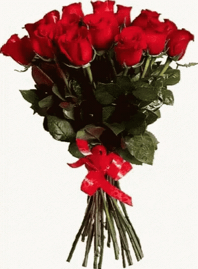 A Large Bouquet Of Red Roses With A Red Ribbon GIF