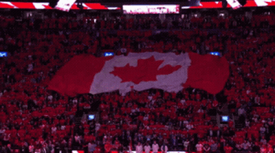 A Large Canadian Flag Is Being Displayed In A Stadium Full Of People GIF