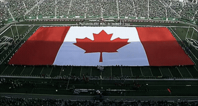 A Large Canadian Flag Is Displayed On The Field GIF