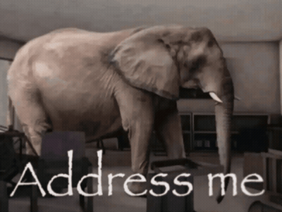 A Large Elephant Is Standing In A Room With The Words Address Me Above It GIF