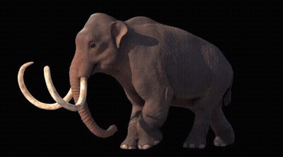 A Large Elephant With A Black Background And A Large Tusks GIF