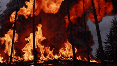 A Large Fire In The Woods With Smoke Coming Out Of The Trees GIF