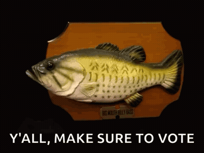 A Large Fish On A Plaque That Says Y'all Make Sure To Vote GIF