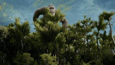 A Large Gorilla Is Standing In The Middle Of A Lush Green Forest GIF