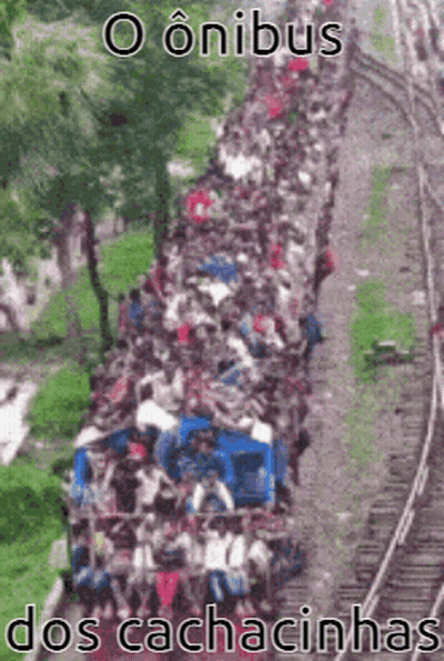 a large group of people are riding on a train with the words o onibus dos cachacinhas written on the bottom